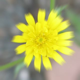 Bearbeitungsergebnis